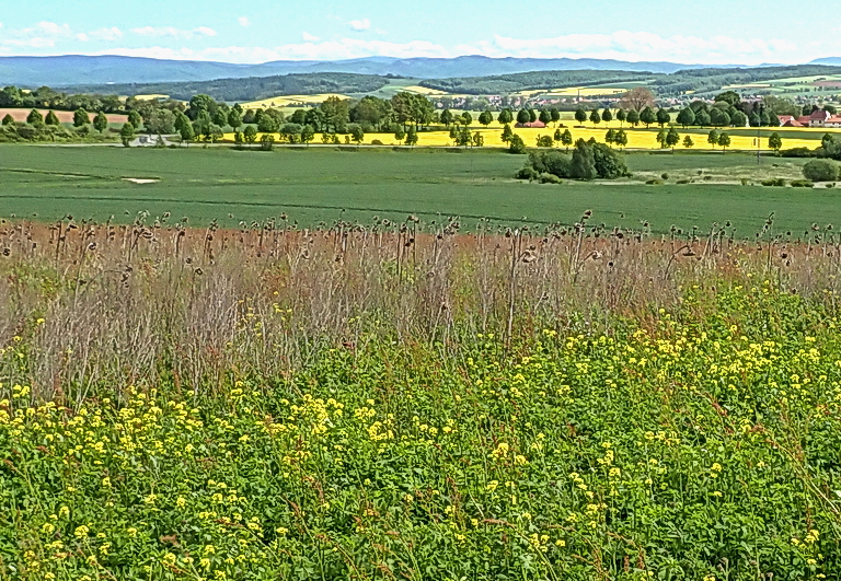 Blick ins Land