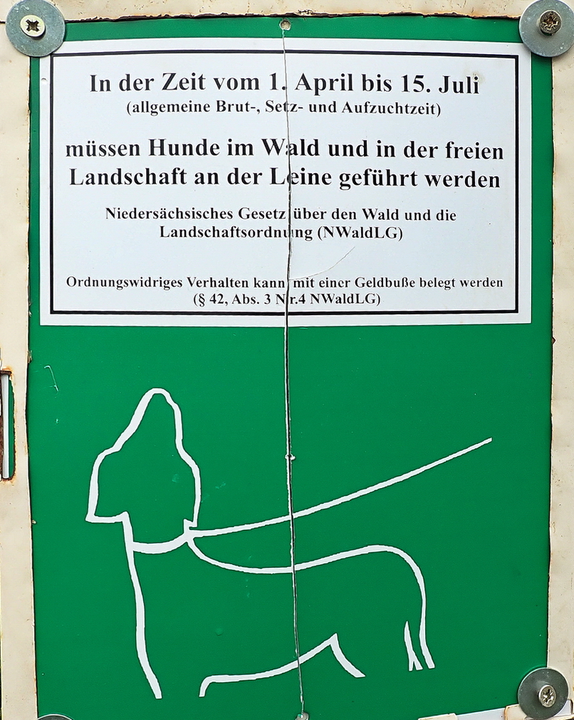 Bei uns können Hunde lesen