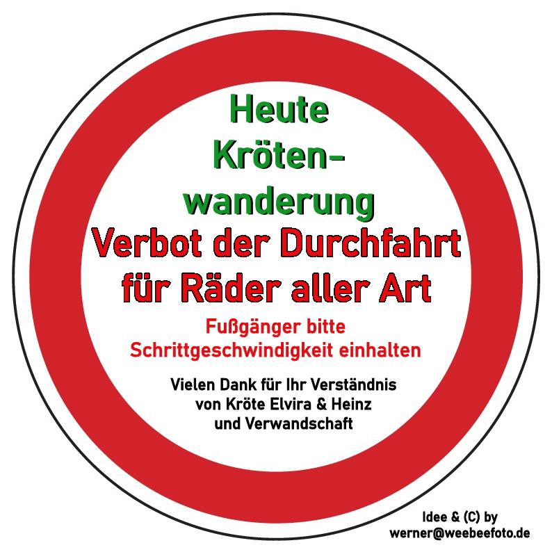 Krötenwanderung