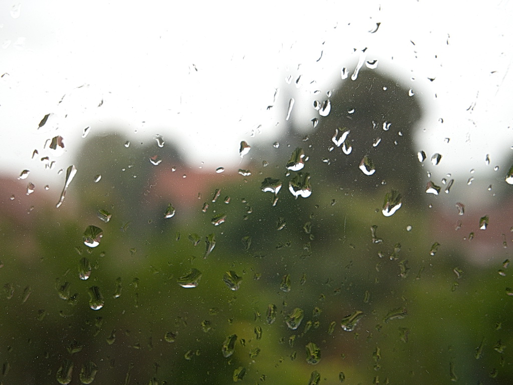Rainy Days