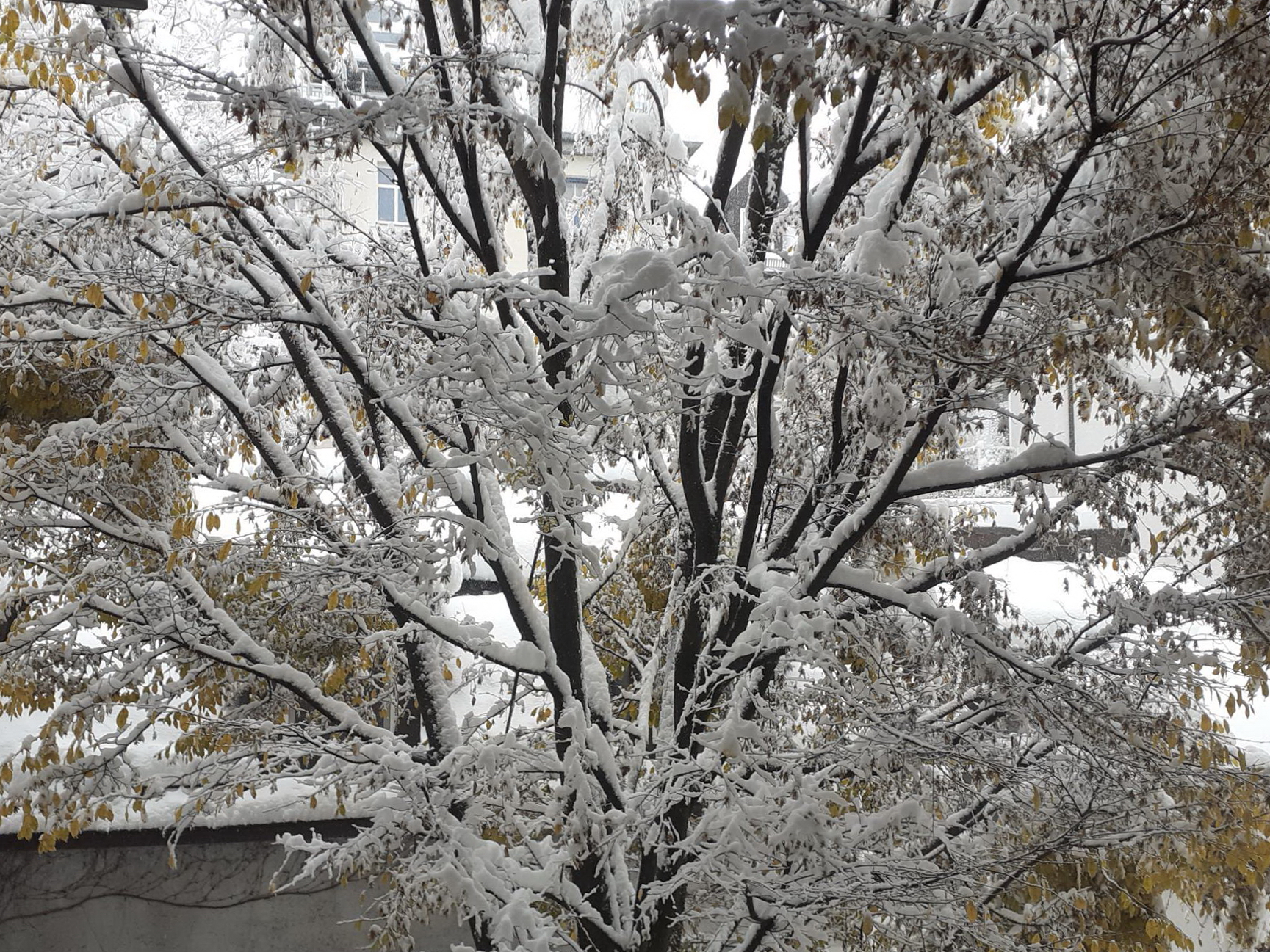 Winteranfang in Bayern