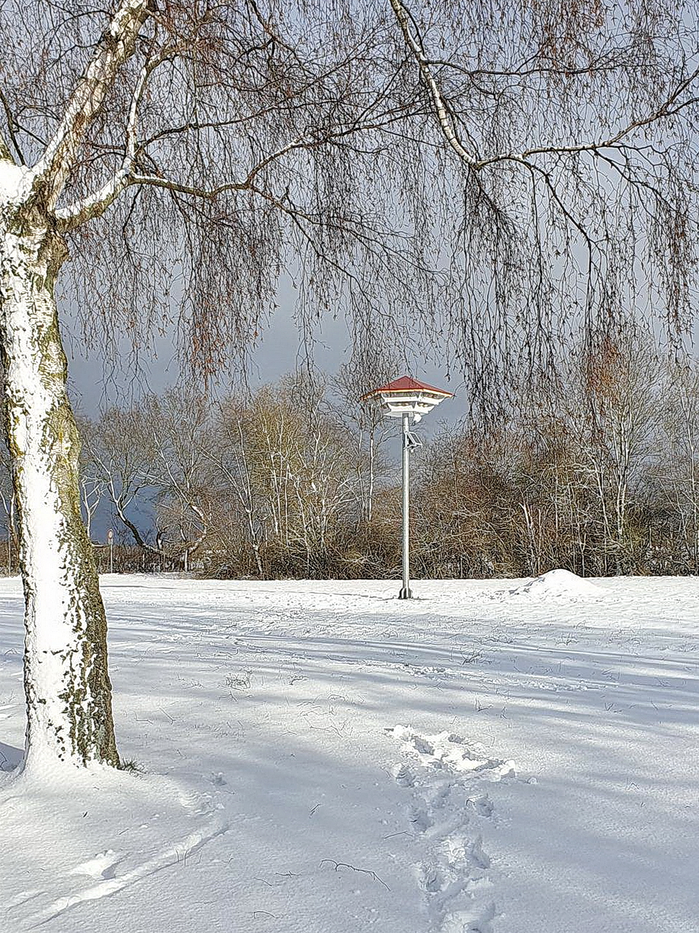 Die Anlage in mitten der Natur