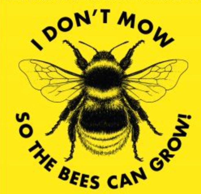 D´ont mow