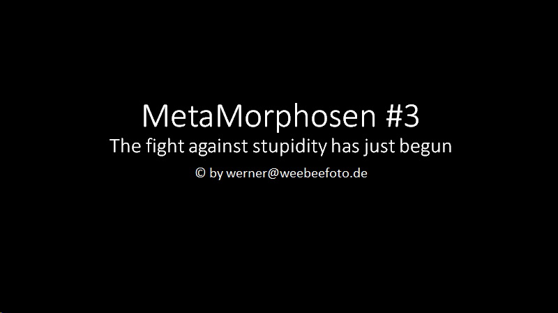 MetaMorphose #3