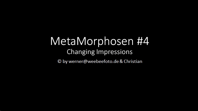 MetaMorpose #4