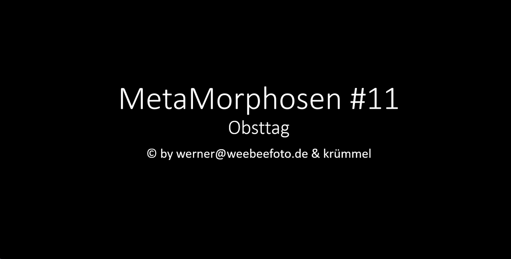 MetaMorphosen #11