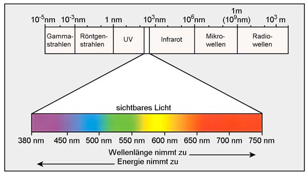 Licht im Spektrum der elektromagnetischen Wellen; Bildquelle: Heinrich-Heine-Universität