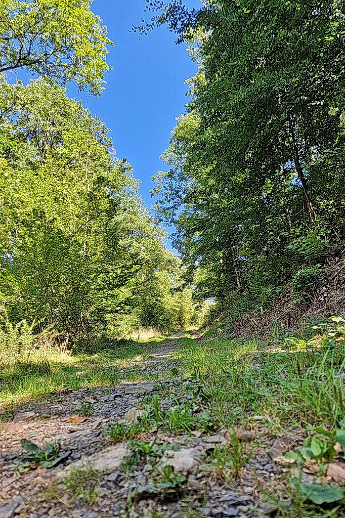Wanderweg in der Eifel