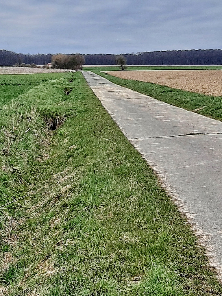 Hasentunnel